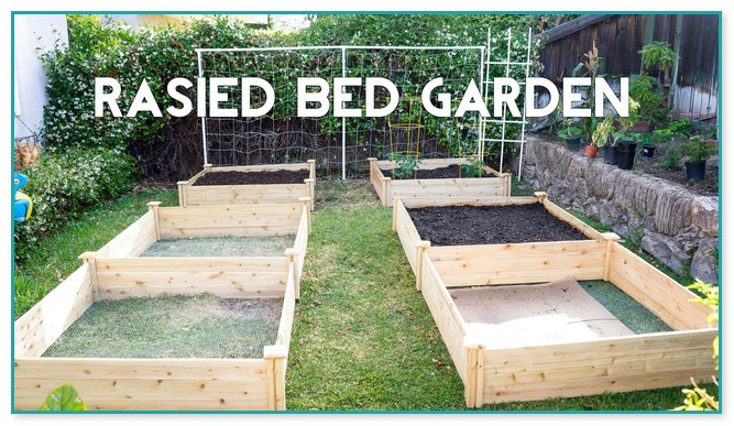 Planting A Raised Bed Vegetable Garden Home Improvement