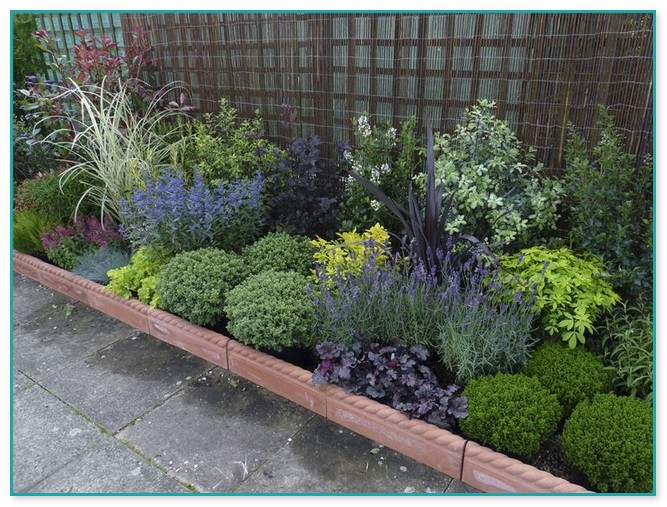 Plant Ideas For Garden Beds Induced Info